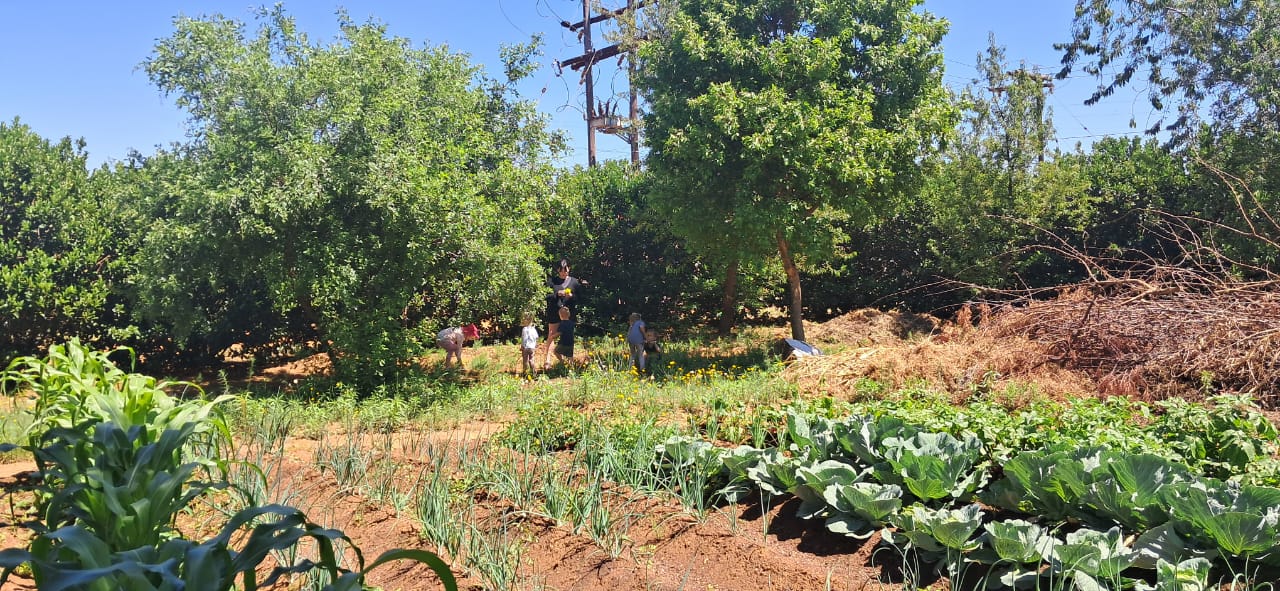 Tuis whatsapp image 2025 11 04 at 1.41.15 pm(1)