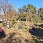 Klasse whatsapp image 2025 11 04 at 1.41.18 pm(2)