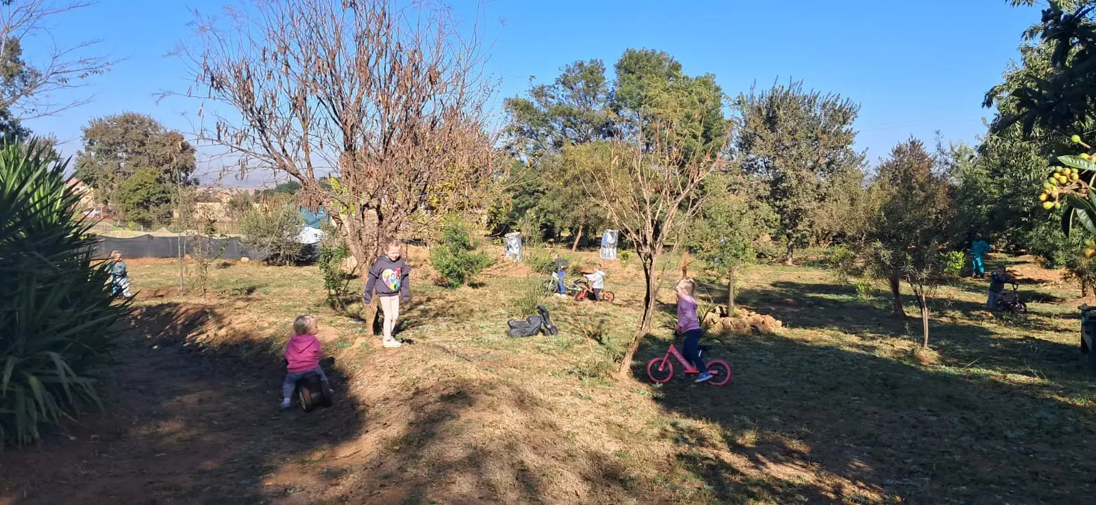 Tuis whatsapp image 2025 11 04 at 1.41.18 pm(2)