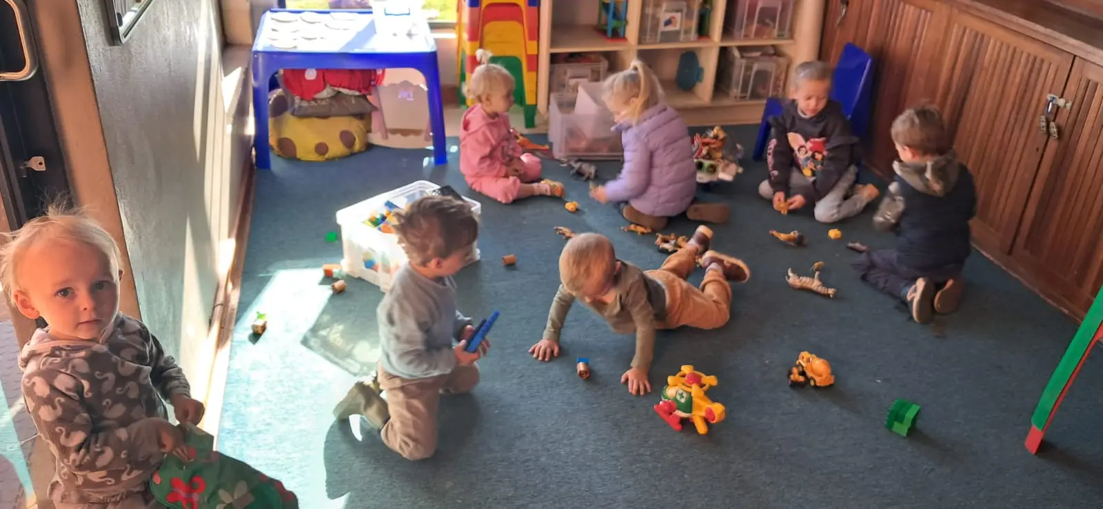 Tuis whatsapp image 2025 11 04 at 1.41.19 pm