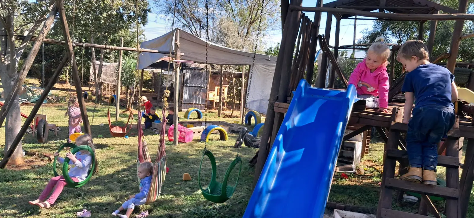 Tuis whatsapp image 2025 11 04 at 1.41.19 pm(1)